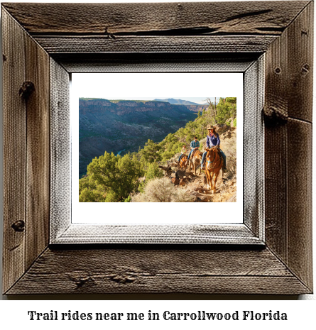 trail rides near me in Carrollwood, Florida